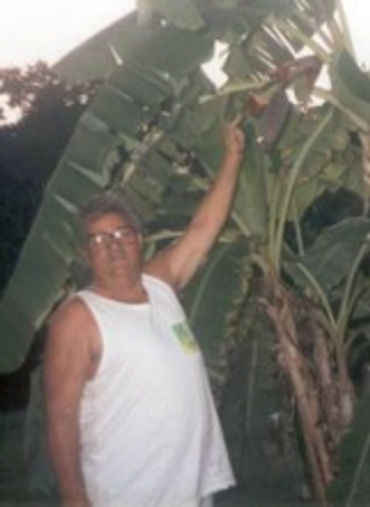 Walter Schwegler Jr.