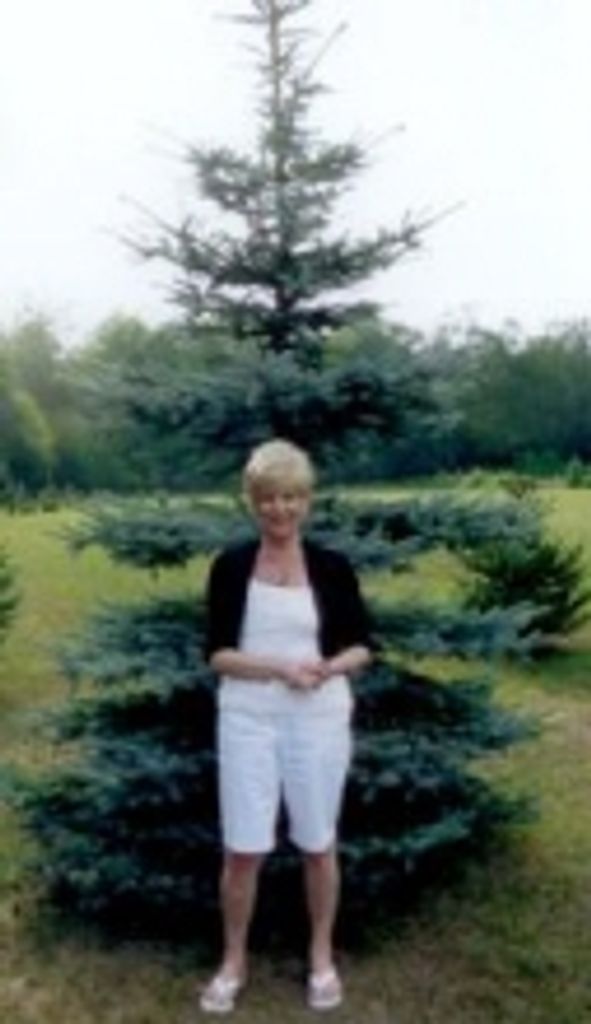 Sheri A. Olesinski