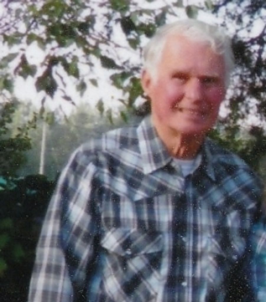 Tim Stangeland Profile Photo