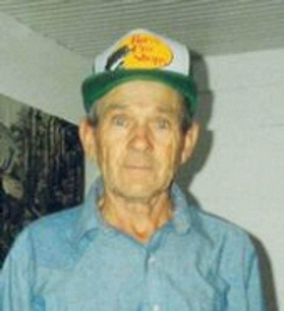 Wilbert L. Painter