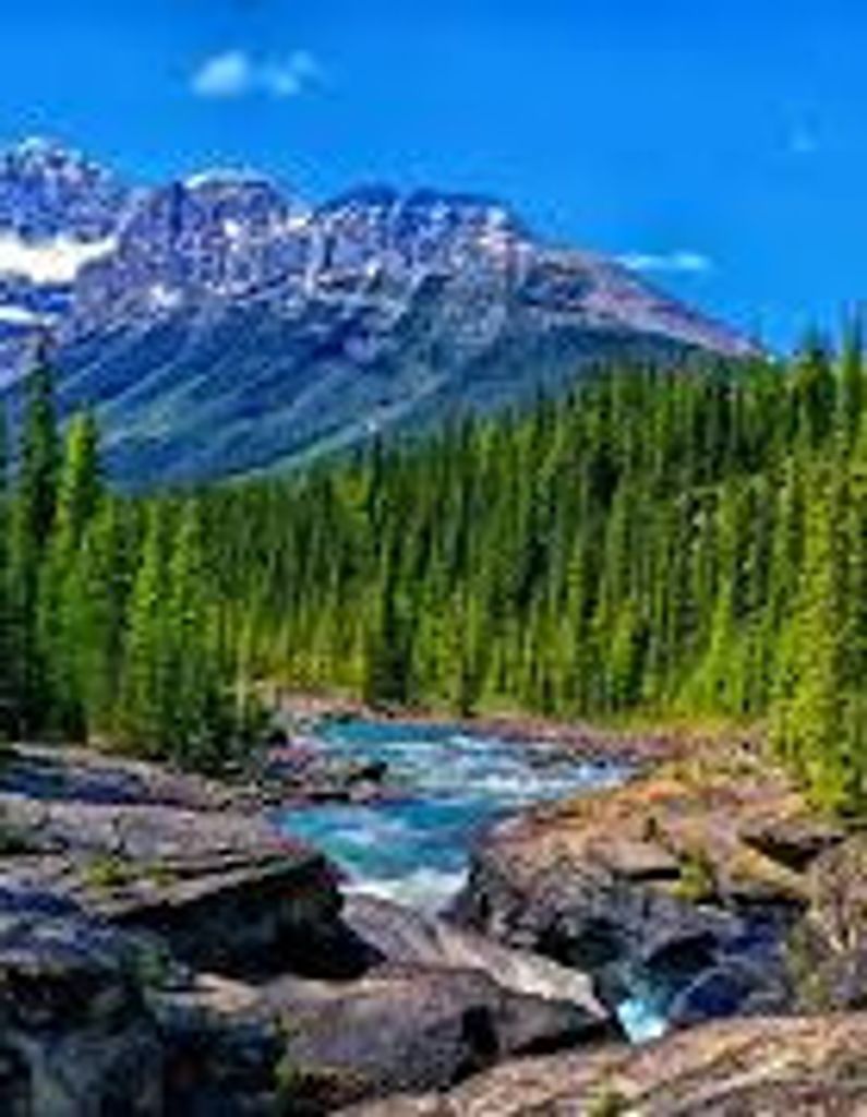 Michael Louis Profile Photo