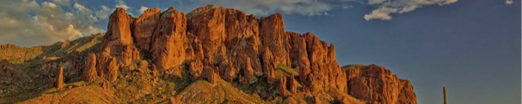 Cover photo for Virginia Wiese's Obituary
