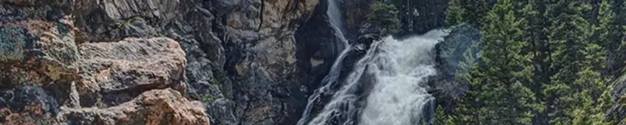 Cover for April Dawn Gifford's Obituary