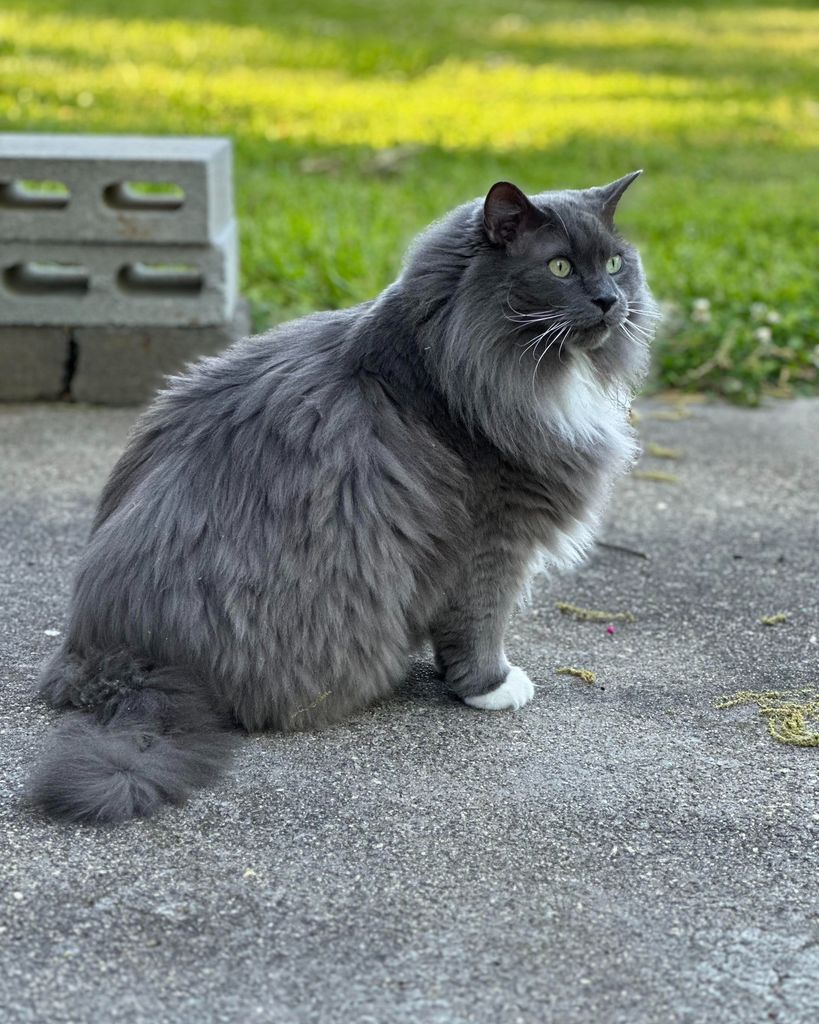 Major Clement Profile Photo