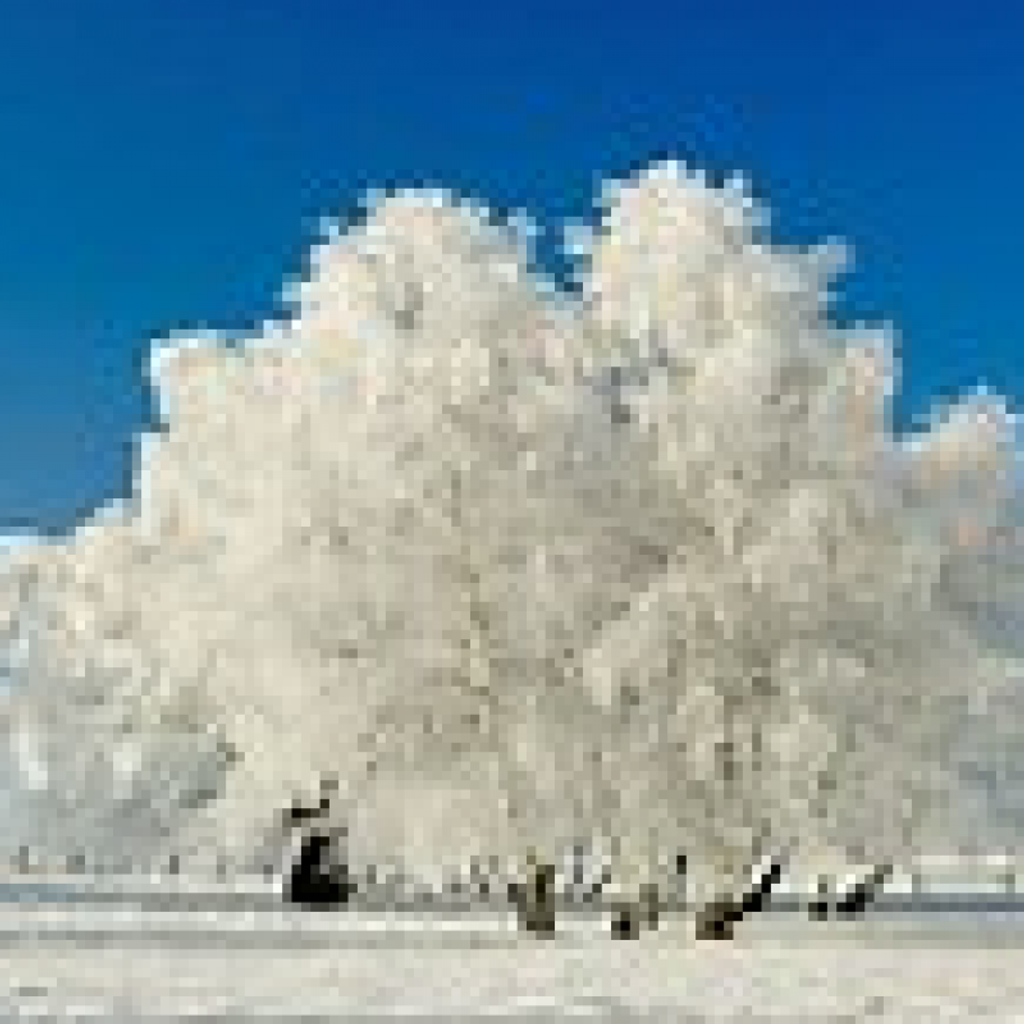 Anna Mae Snyder Profile Photo