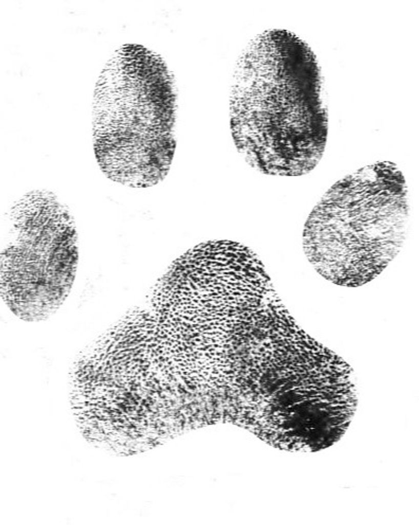 Sadie Miller Profile Photo