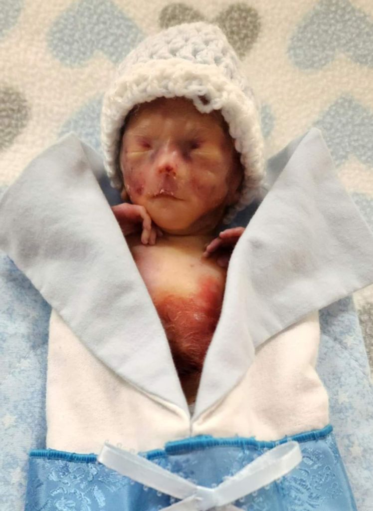 Elijah Liam Maier