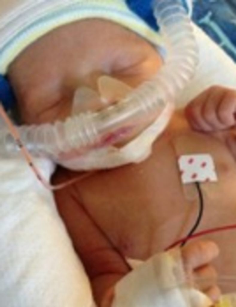 Lucas  Paul Willey