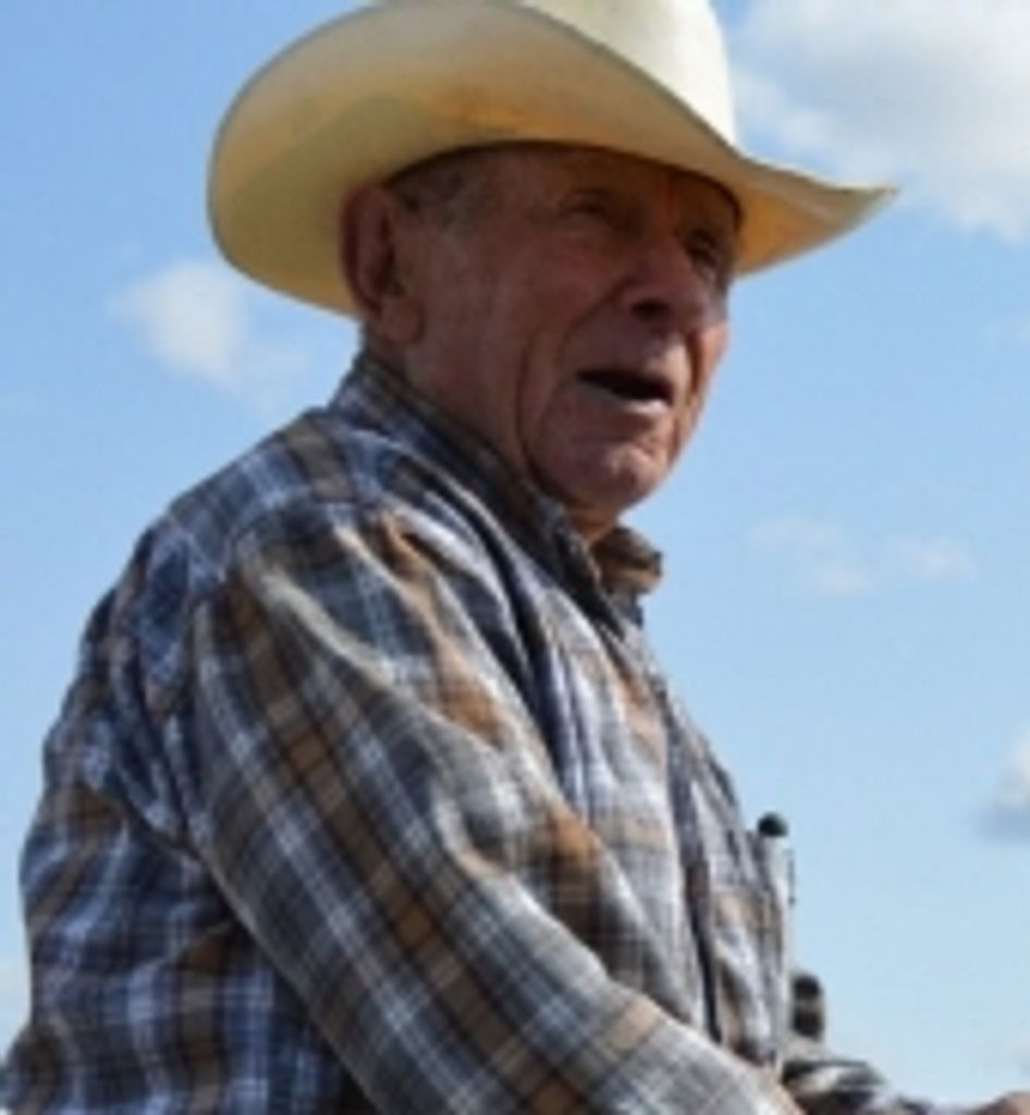 James E. Jim Sarrazin