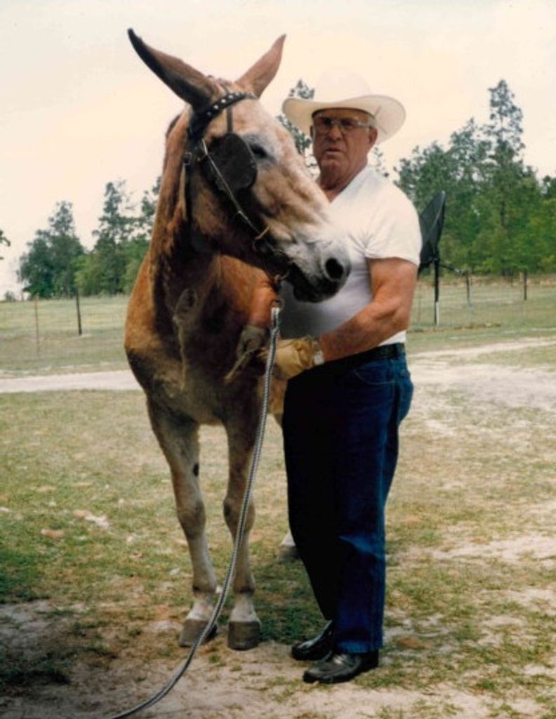 Walter Smith Jr.