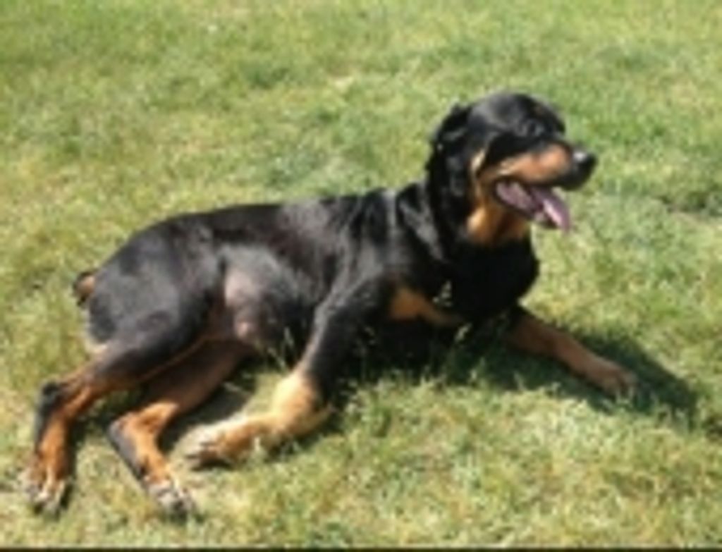 Braelyn Genson Profile Photo