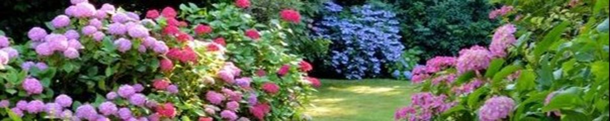 Cover for Phouvieng Xayaphet's Obituary