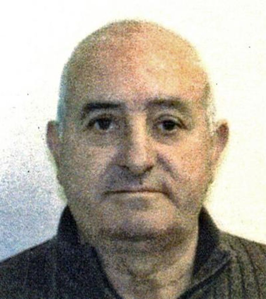 Jose J Magalhaes