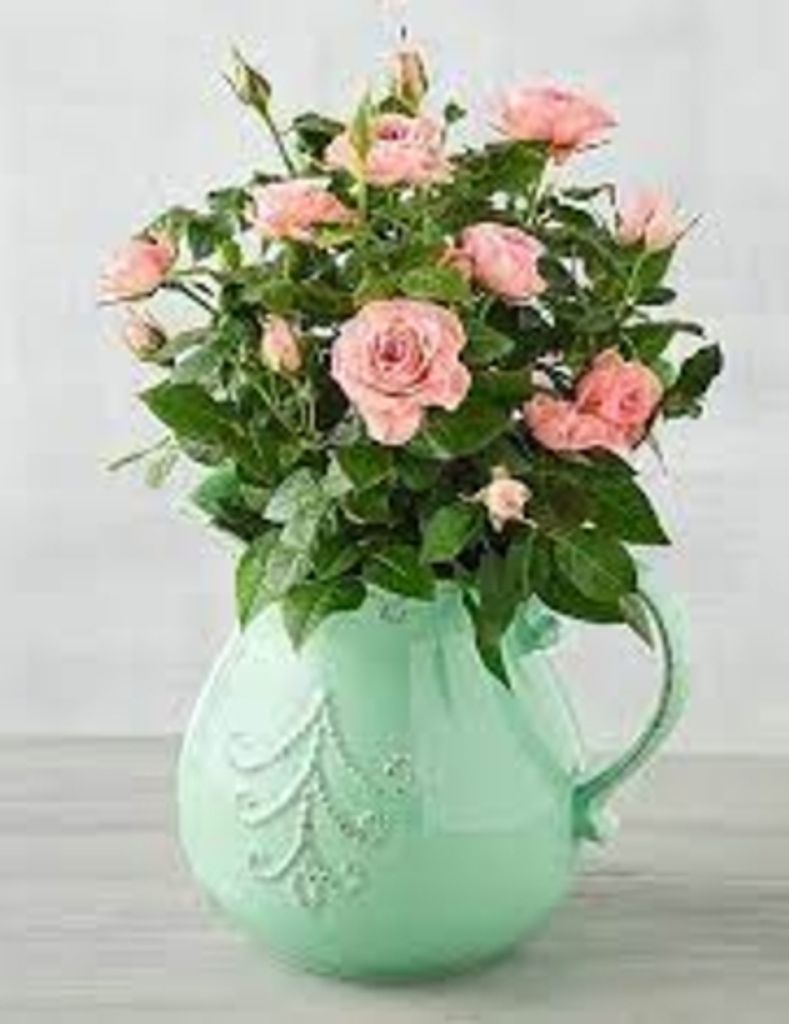 Susan Diane Zimmerman