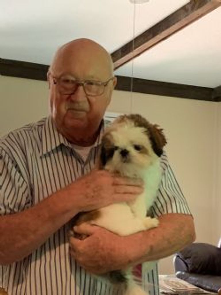 Joe Currie Stringer Profile Photo