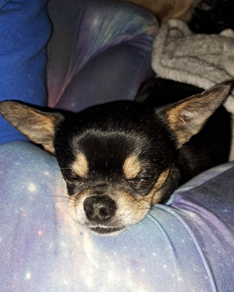 Jacob Edward Faucette