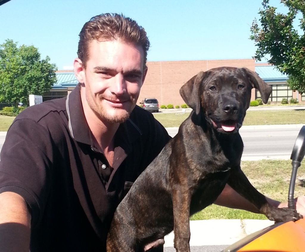 Thaddeus Q Patterson