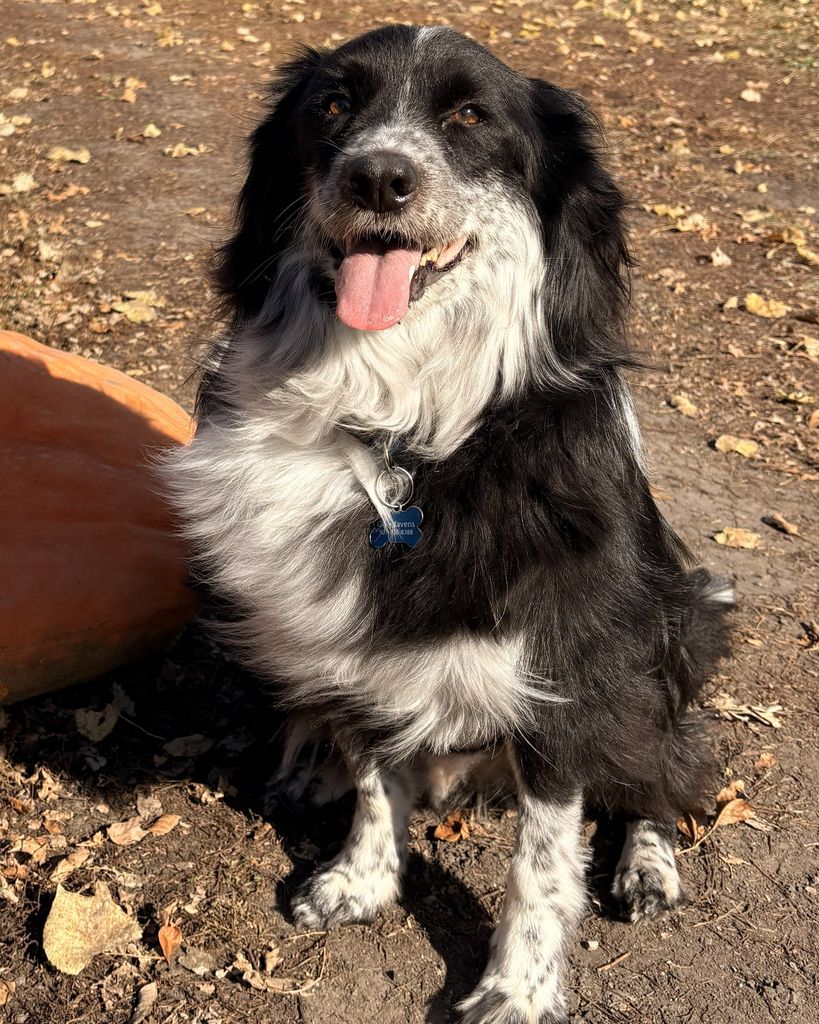 Gary Javens Profile Photo