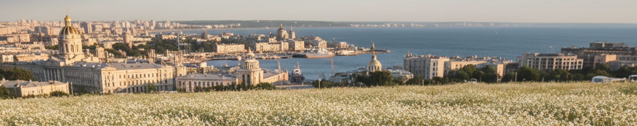 Cover for Lana Leskov's Obituary