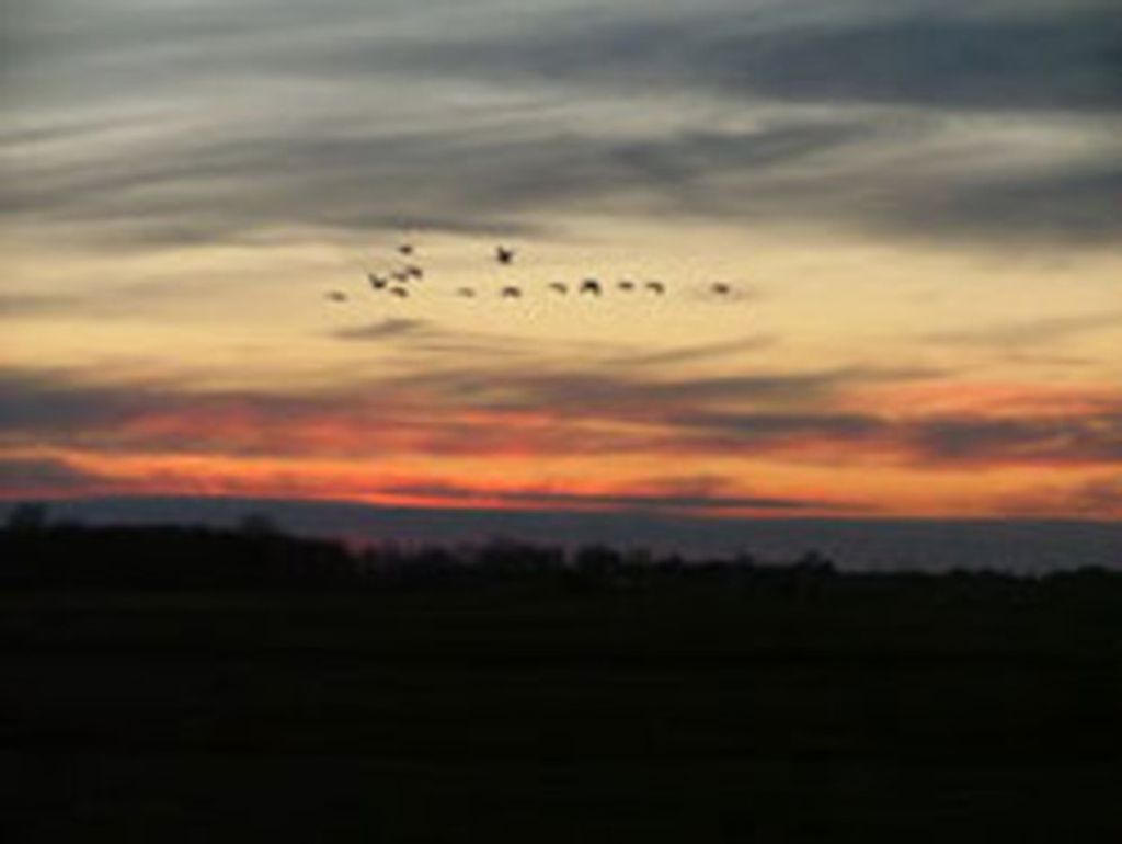 Donald Smith Profile Photo