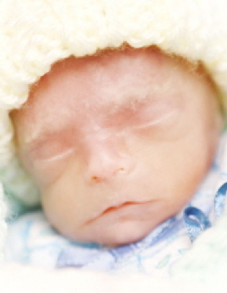 Peter Randall Hendricks