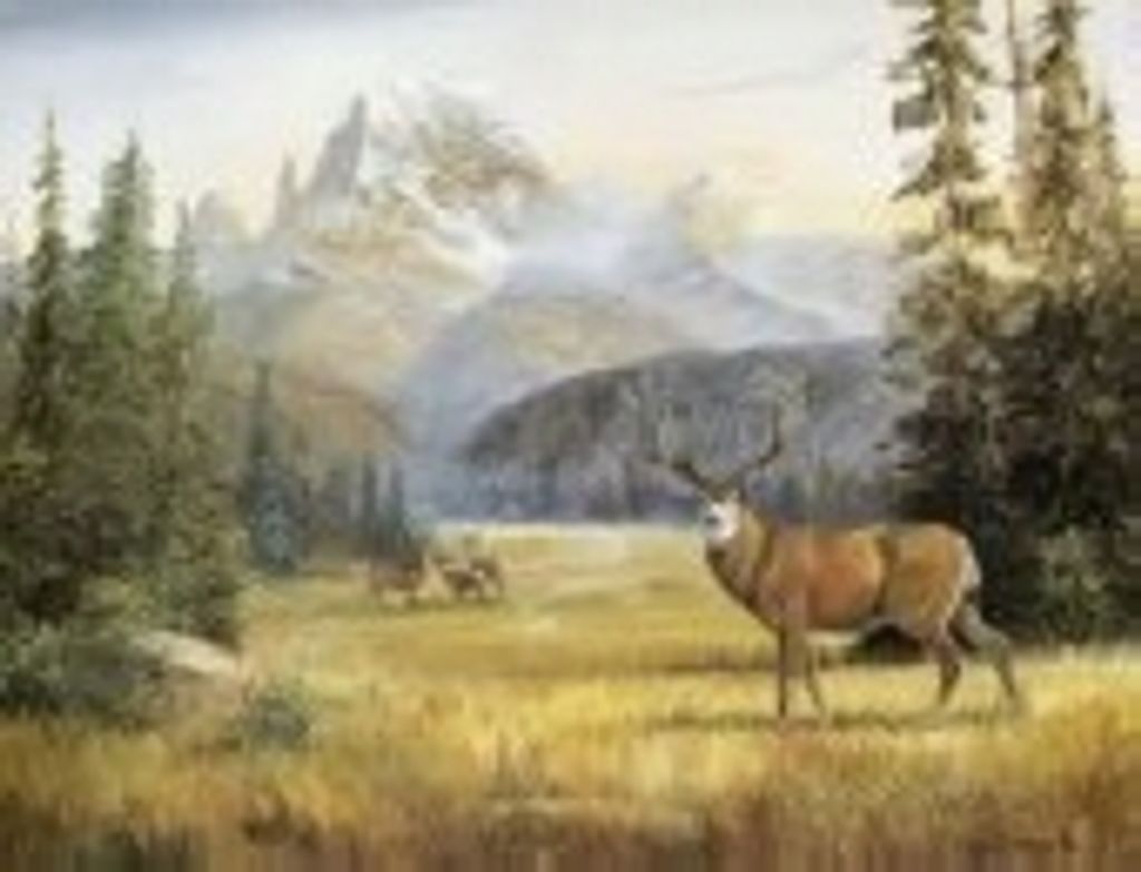Douglas C Singley
