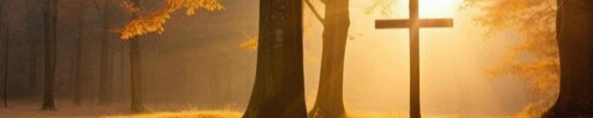 Cover for William R. Wisk's Obituary