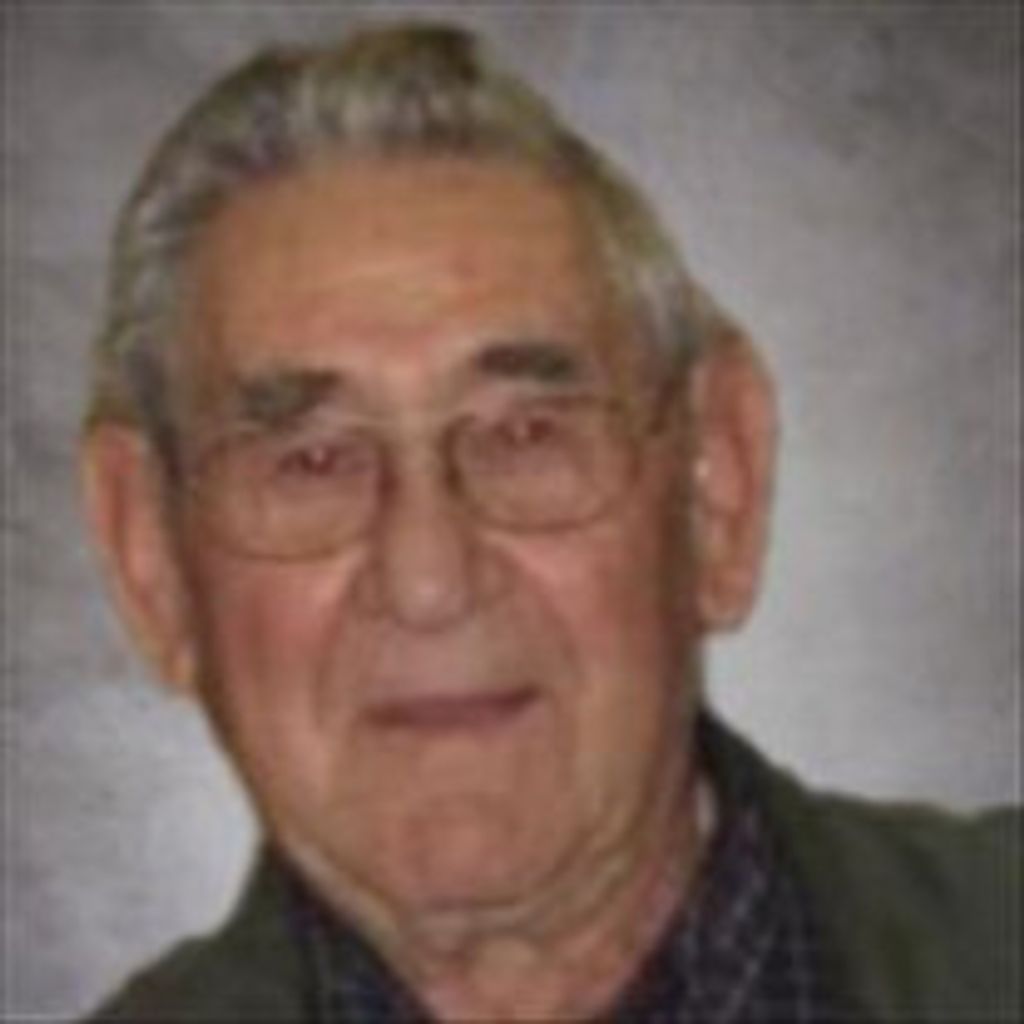 Robert Perlinger