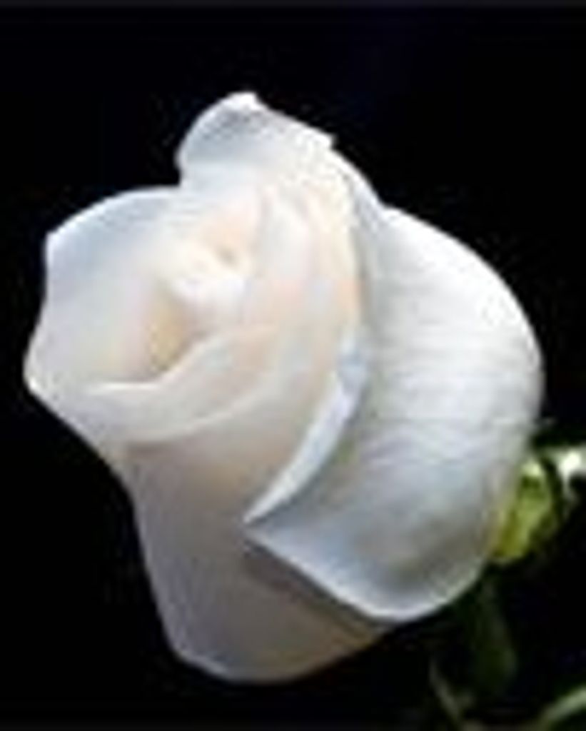 Michael David Roberts Profile Photo