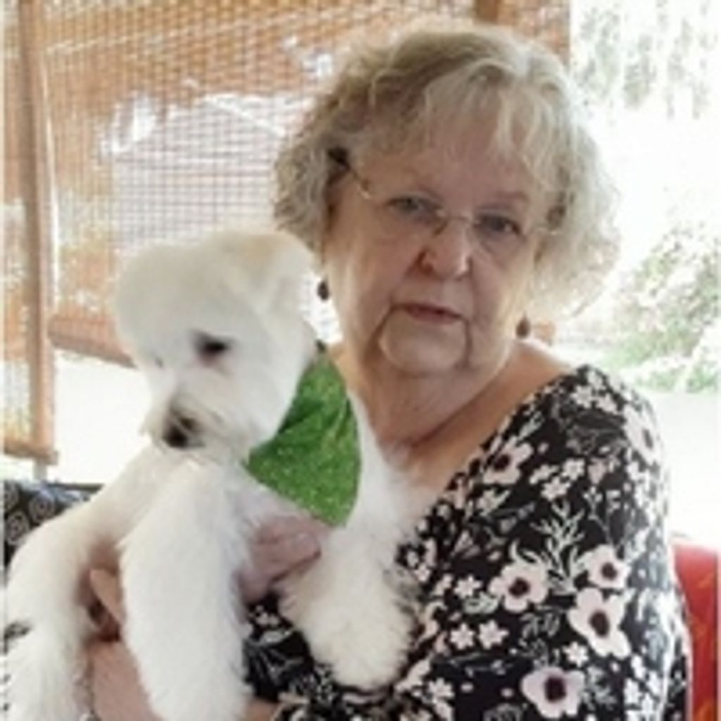 Sandra "Sandy" Mccall Profile Photo