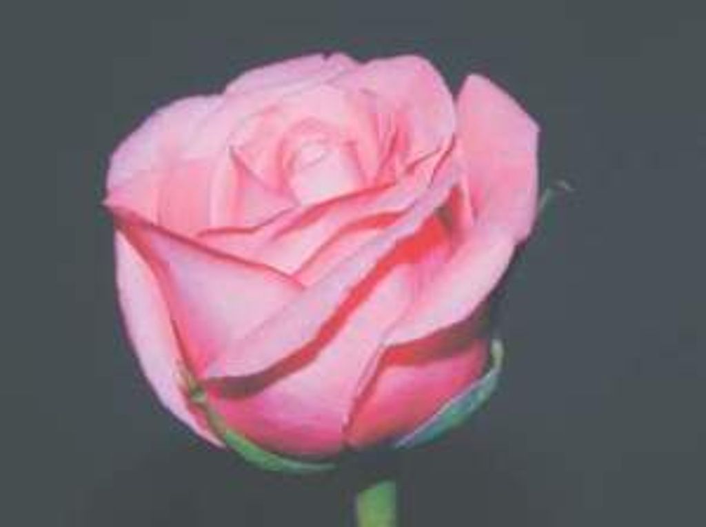 Amber Mcneal Profile Photo