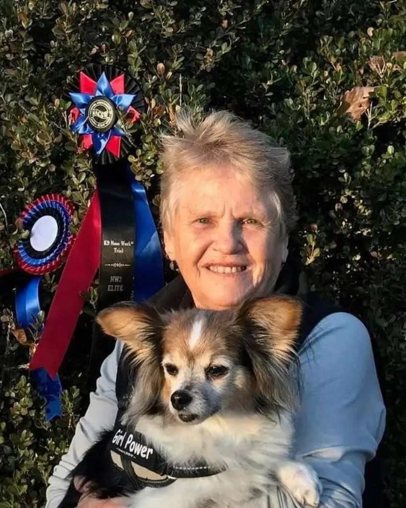 Judy Brown Stenhouse Profile Photo