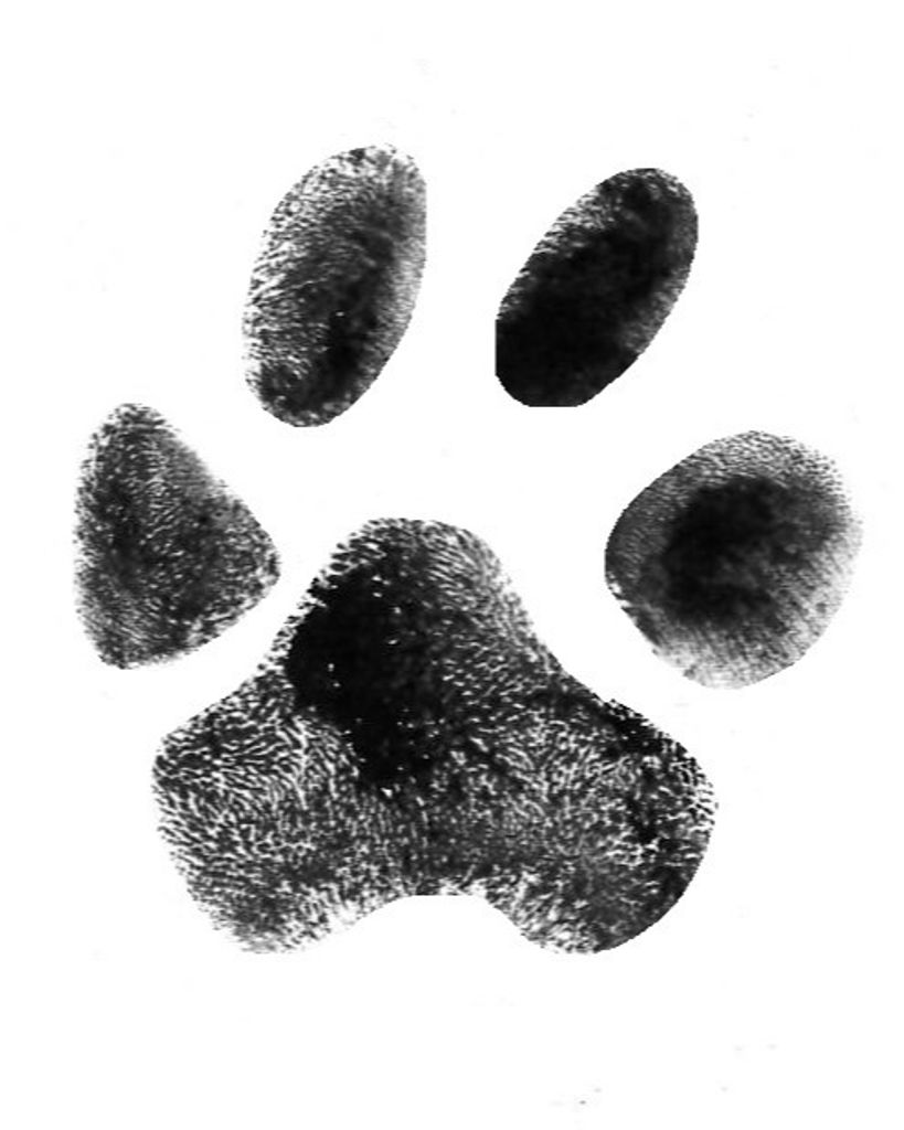 Sampson Reames Profile Photo