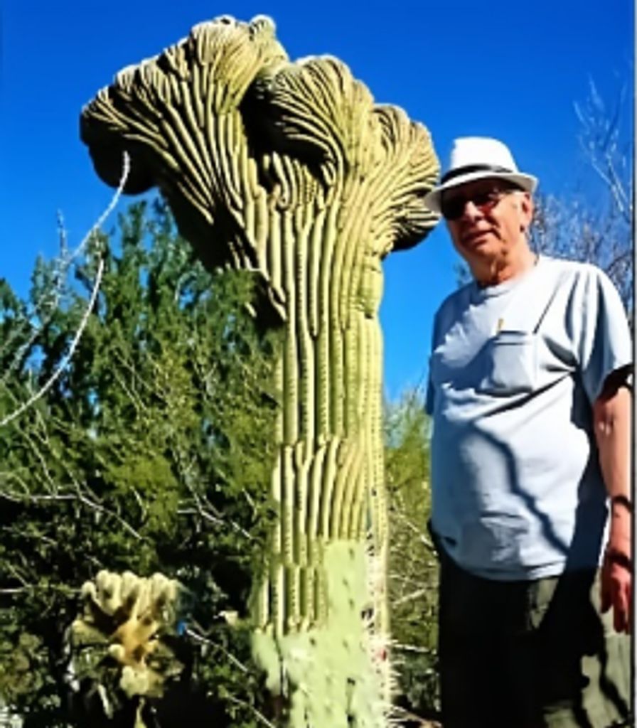 Jerald Kloc Profile Photo