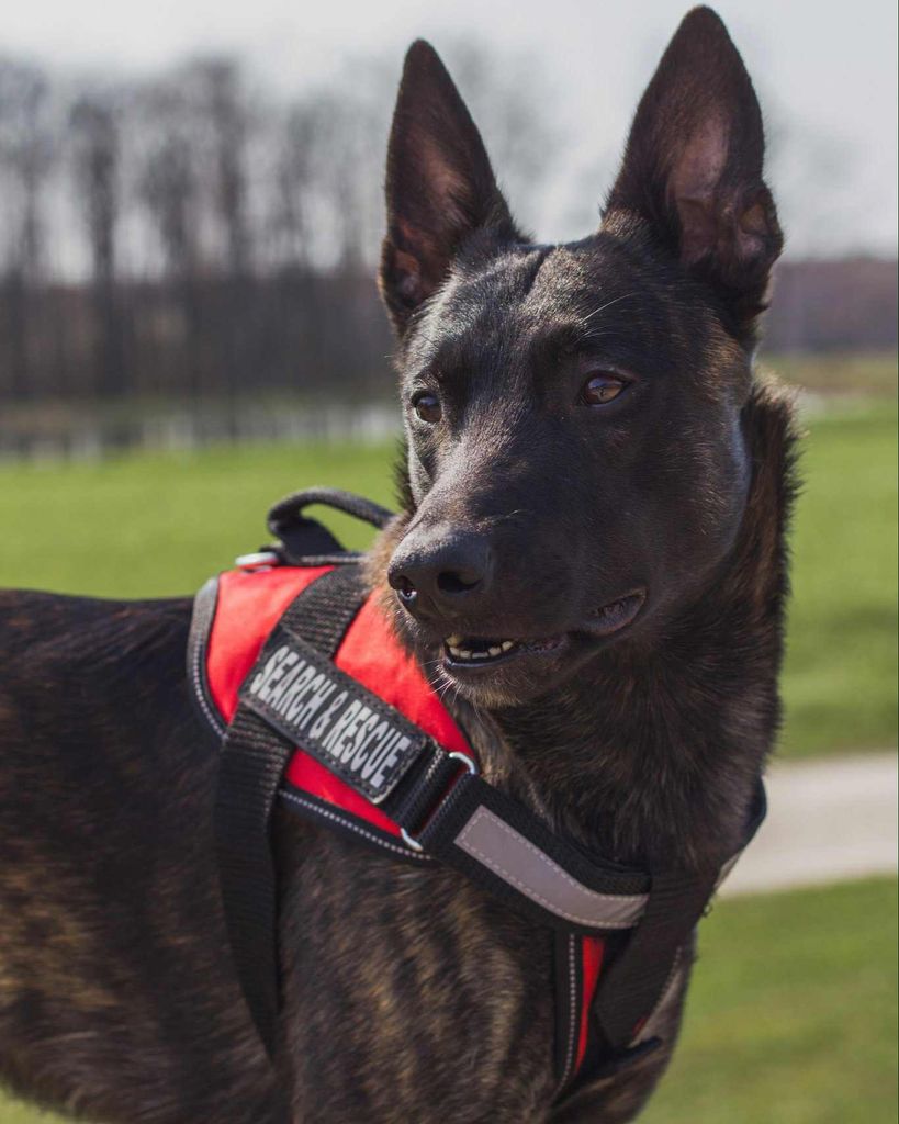 Otto Finn McCourt-Schmidt