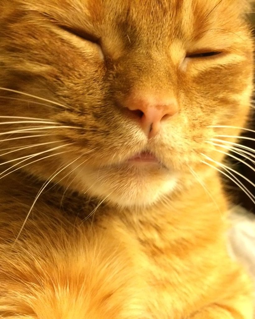Oscar Oliver Profile Photo