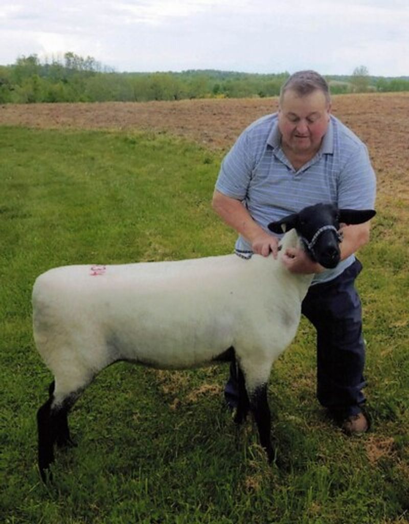 James "Jim" Alfred Roman