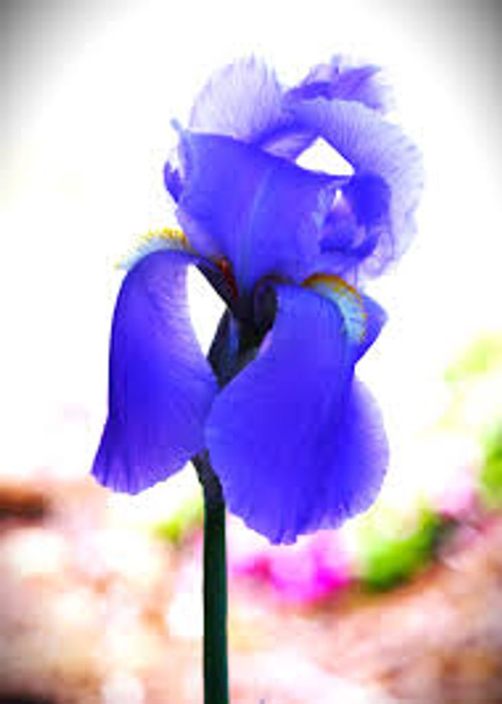 Nancy M. Kula Profile Photo