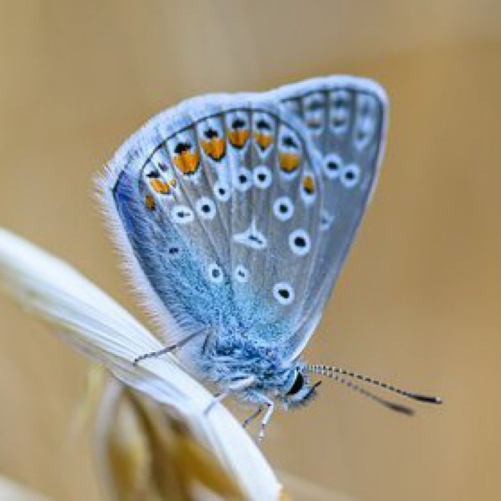 Nicole Miller Profile Photo