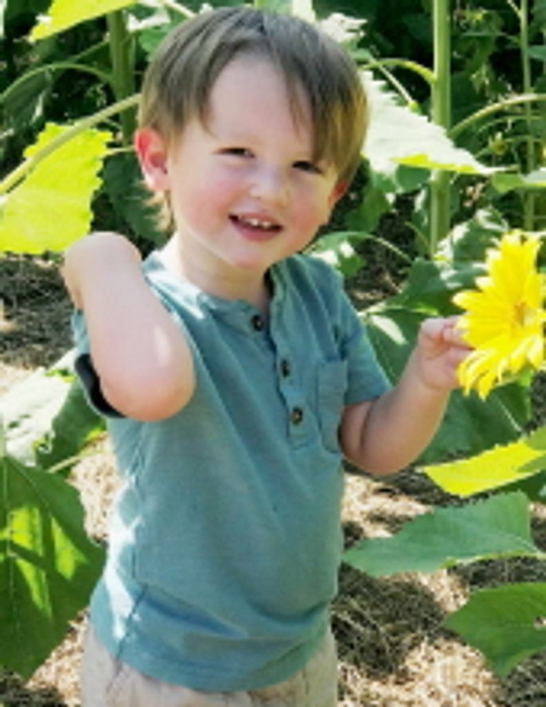 Grayson Robert Dewitt