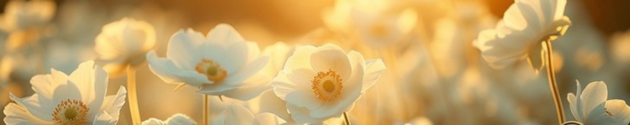 Cover for Barbara Jean Bigger Miller's Obituary