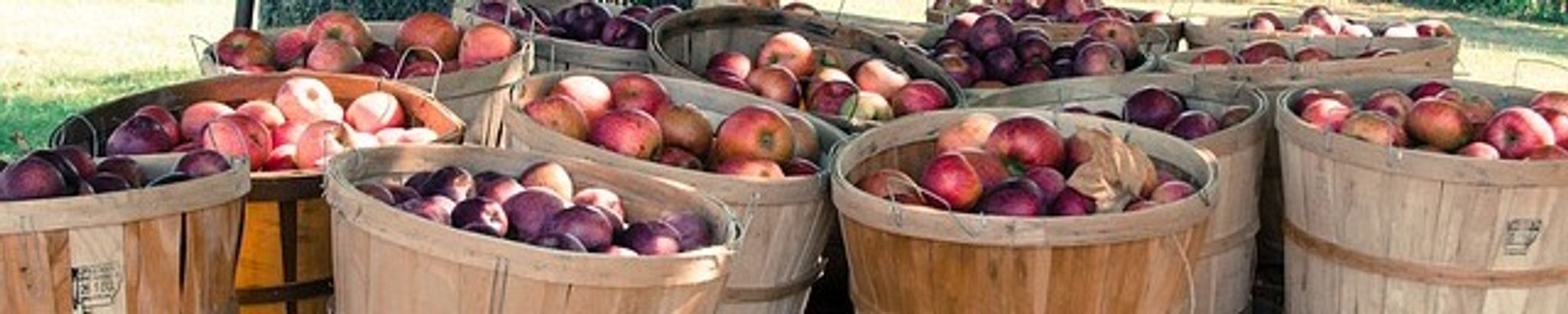 Cover for Donna Garwood's Obituary