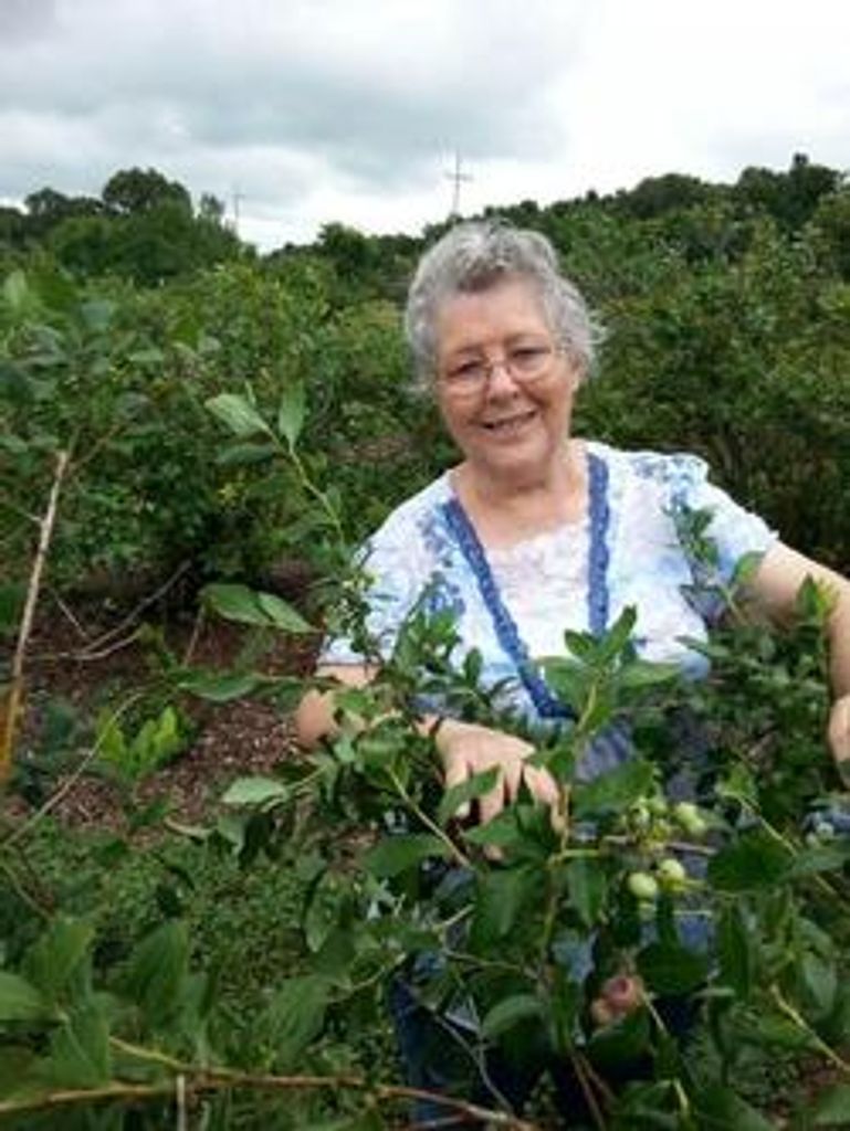 Doris Pauline Halladay Profile Photo
