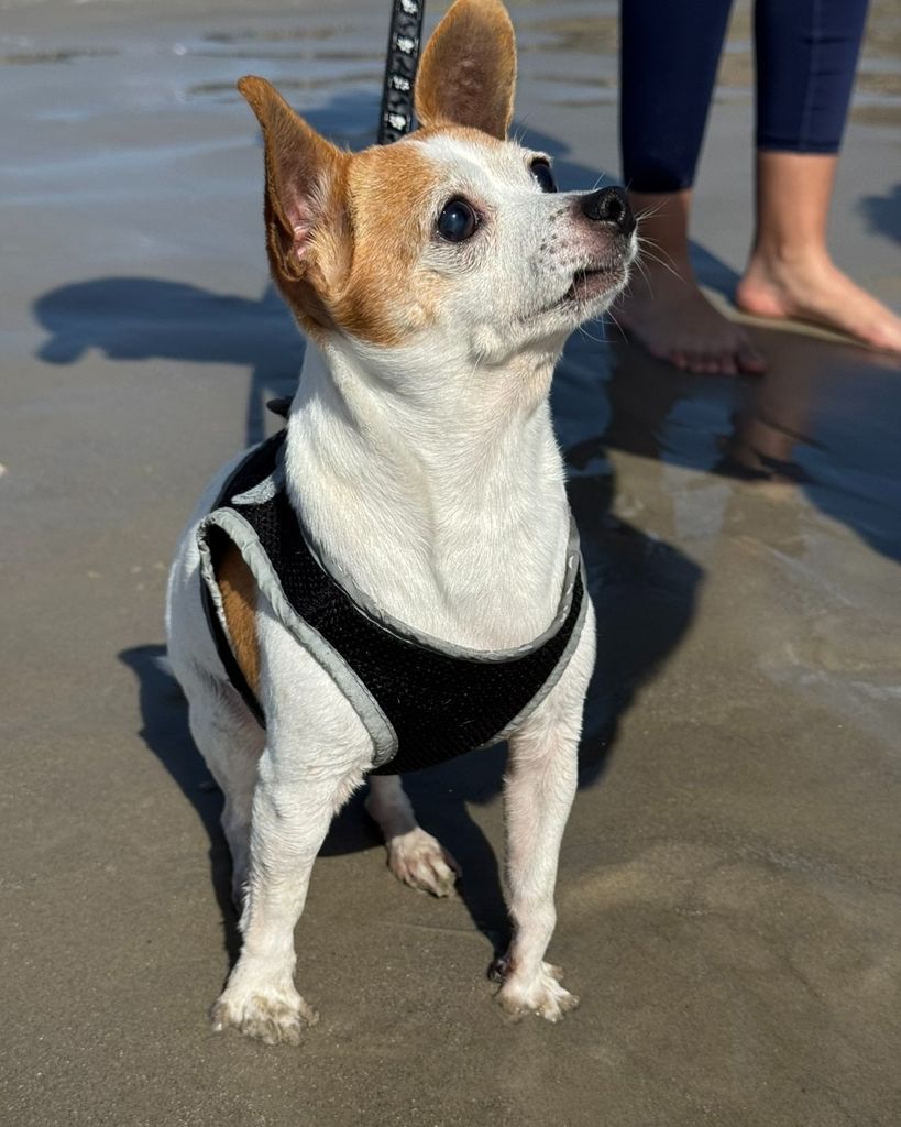 Rocky ♥ Profile Photo