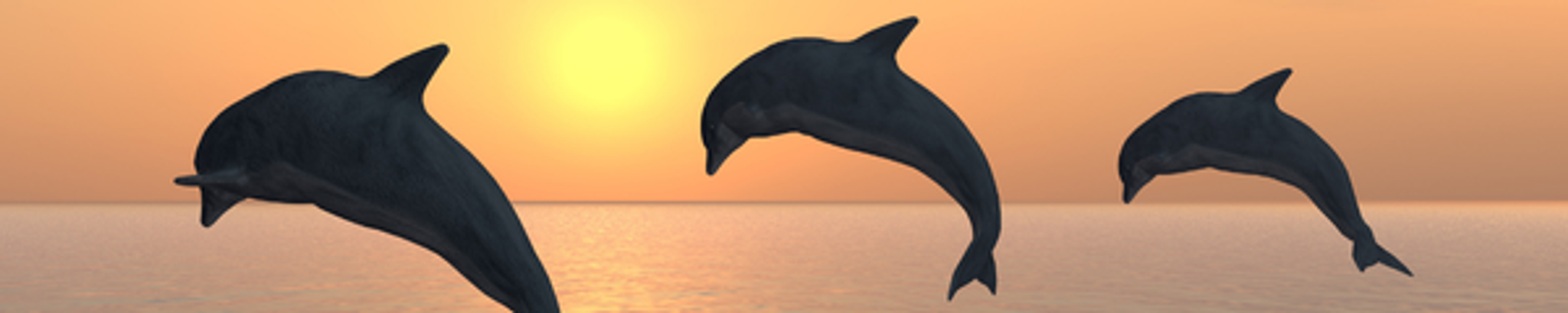 Cover for Amanda Dawn Canter's Obituary