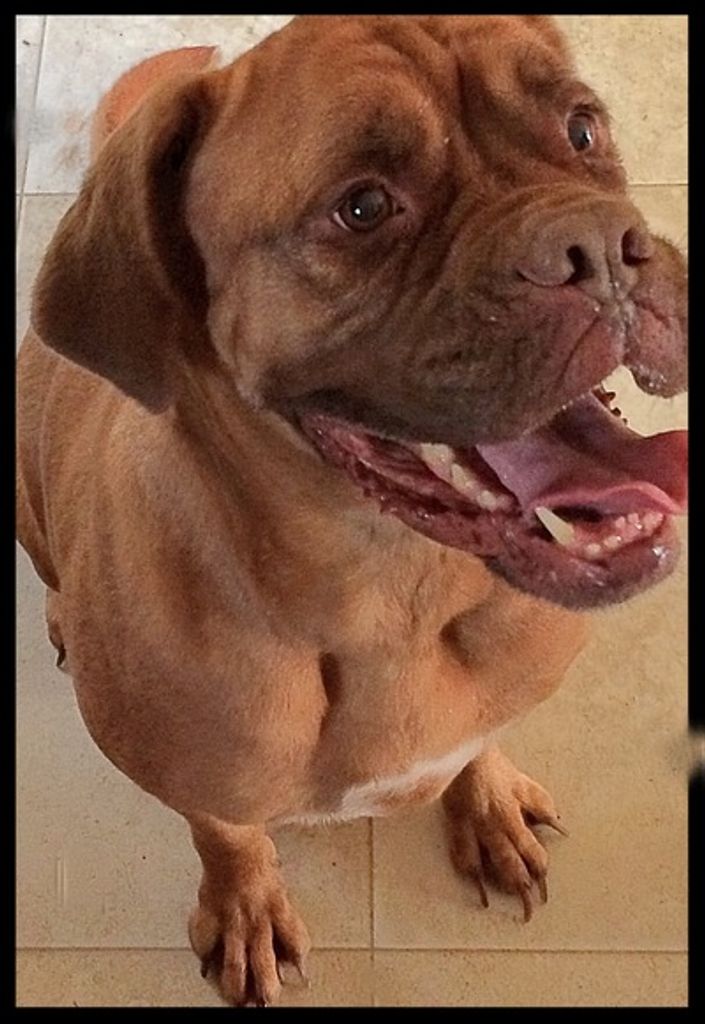 Zena Adkins Profile Photo