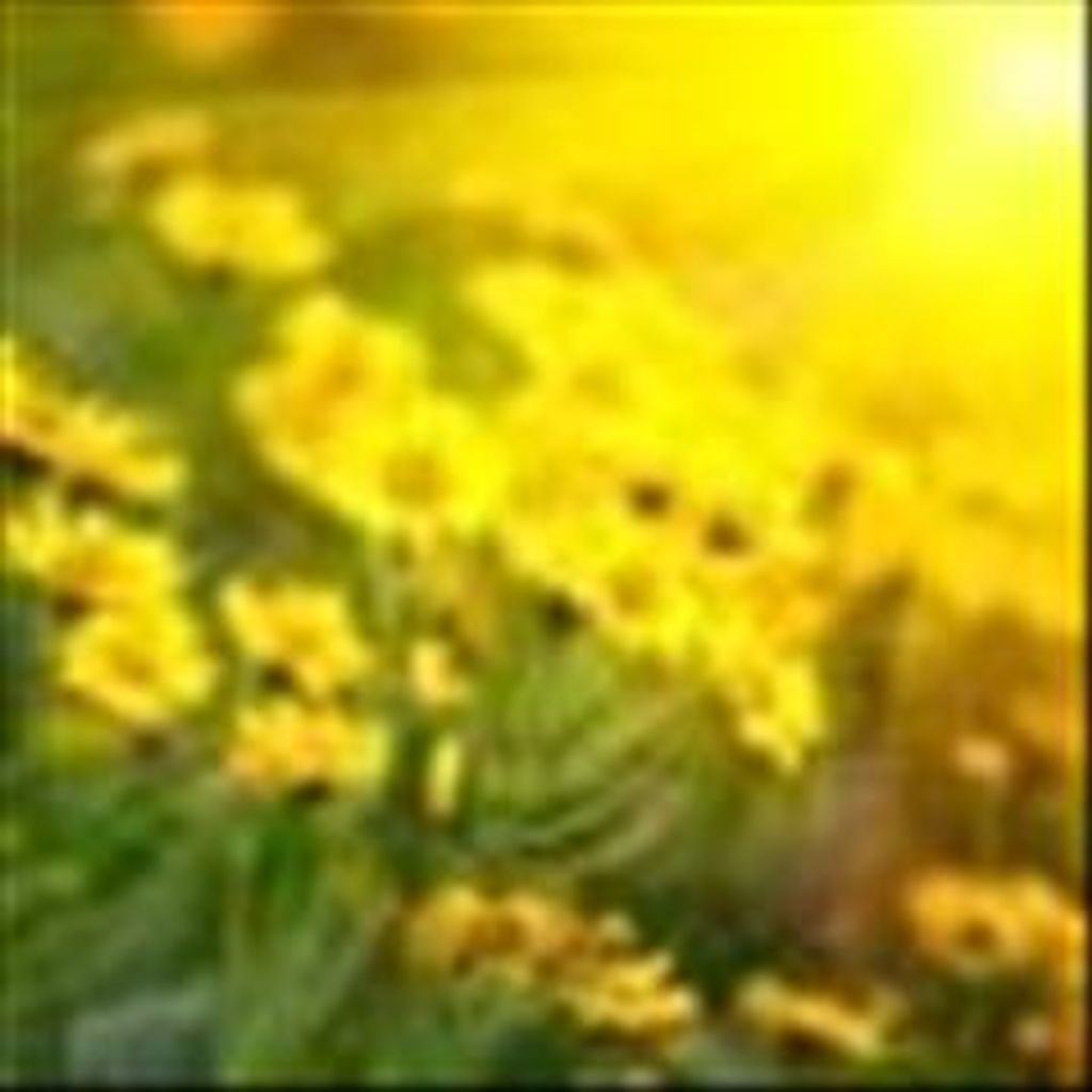 Janice W Connally Profile Photo