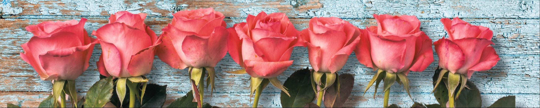 Cover photo for Mary Brown's Obituary