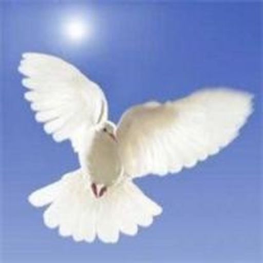 Barbara Crotta Profile Photo