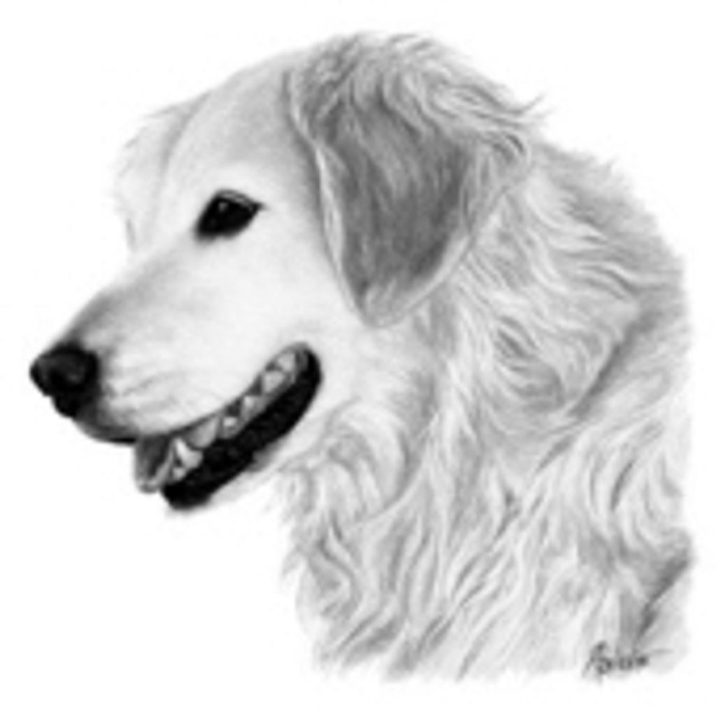 Diesel Secrest Profile Photo